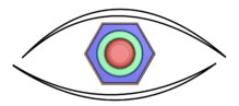 SEVI    Sensory Vision Through Touch